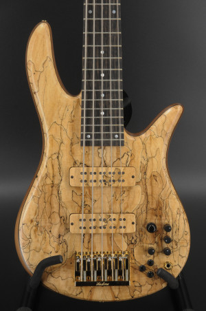 Fodera Monarch 5 Deluxe - Spalted Maple #814D