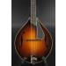 USED Collings MT Mandolin - 2011 - LR Baggs Pickup