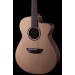 Donovan Leah Caroline - Benchmark Cutaway