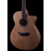  Donovan Leah Caroline - Master Grade Cutaway
