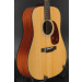Eastman E10 D TC - Thermo Cured Adirondack/Mahogany #2989