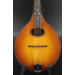Eastman PCH-M104 - Solid Spruce - Layered Mahogany - Goldburst #0677