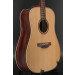 Takamine FN15 AR - Cedar/Amazon Rosewood - One-of-300 #0303