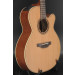 Takamine Pro Series P3NC - Cedar/Sapele - CT4B Electronics #0029