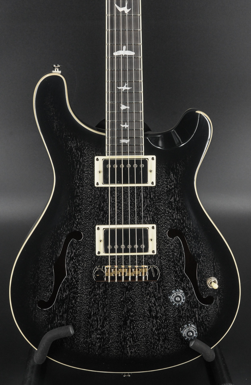 Paul Reed Smith SE Hollowbody Standard - Dog Hair Smokeburst #5308