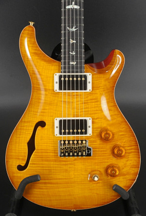 Paul Reed Smith DGT Semi-Hollow w/ Birds - 10-Top #1392
