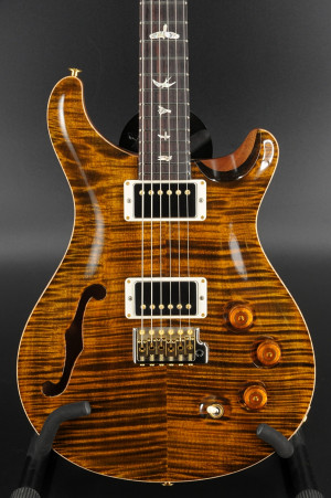 Paul Reed Smith DGT Semi-Hollow w/ Birds - 10-Top - Tiger Eye #9751